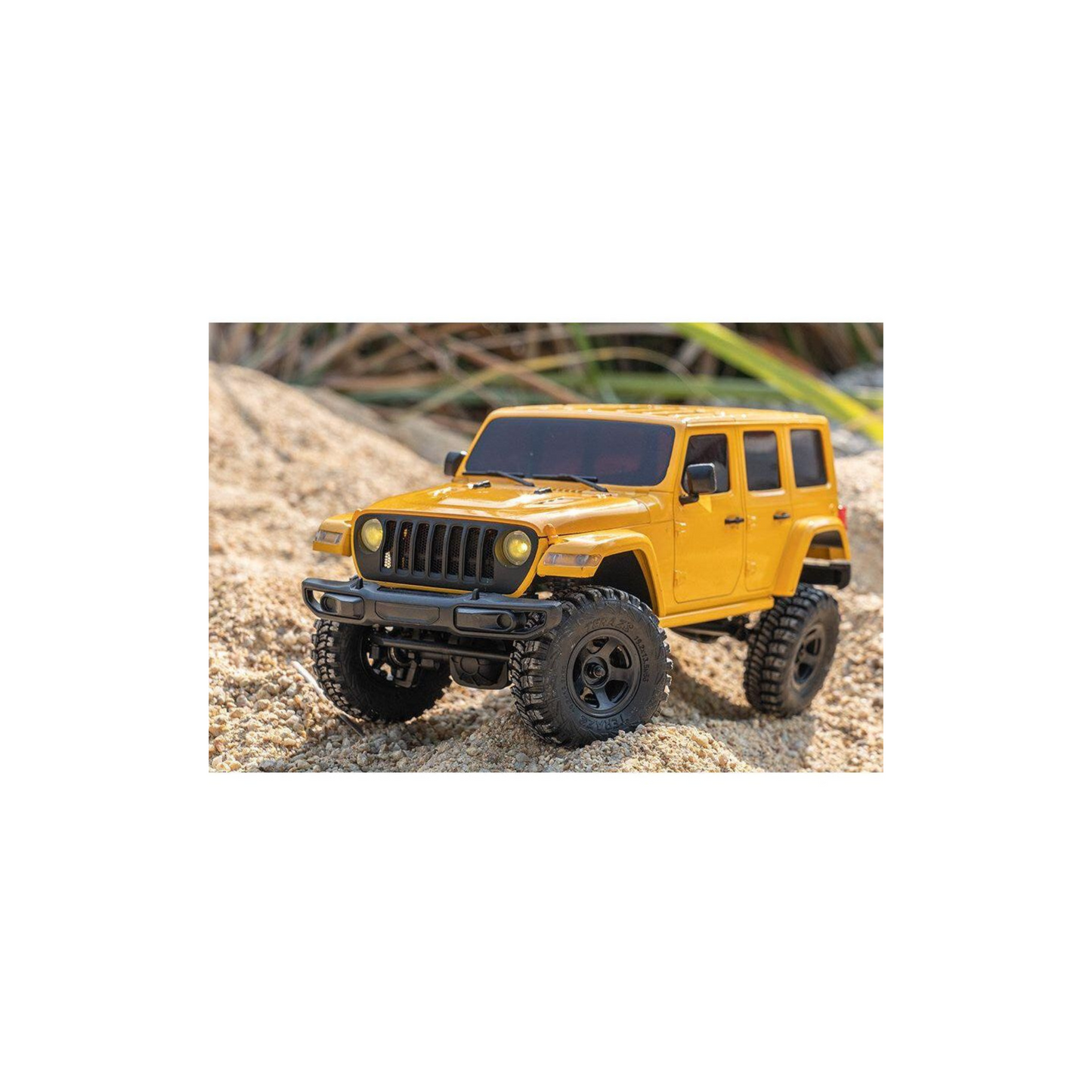 
                  
                    1/18 Arizona RTR RC Car
                  
                