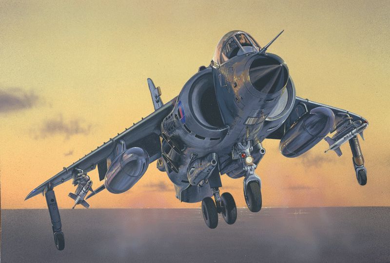 
                  
                    ITALERI HARRIER FRS.1 SELF BUILD KIT
                  
                